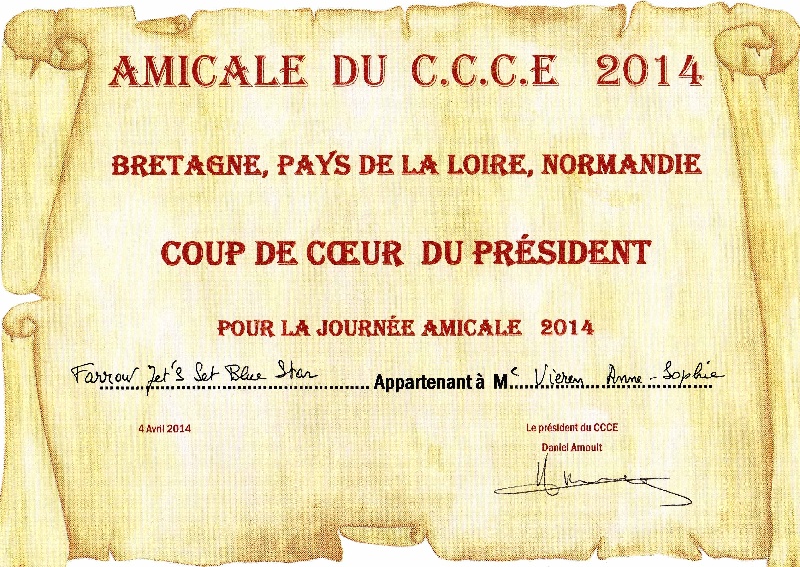 Jet Set's Blue Star Farrow - Coup de coeur chien adulte du Président