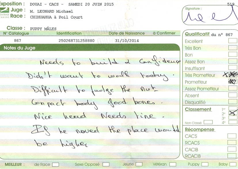 Jealous guy du Royaume d'Isthar - TRÈS PROMETTEUR