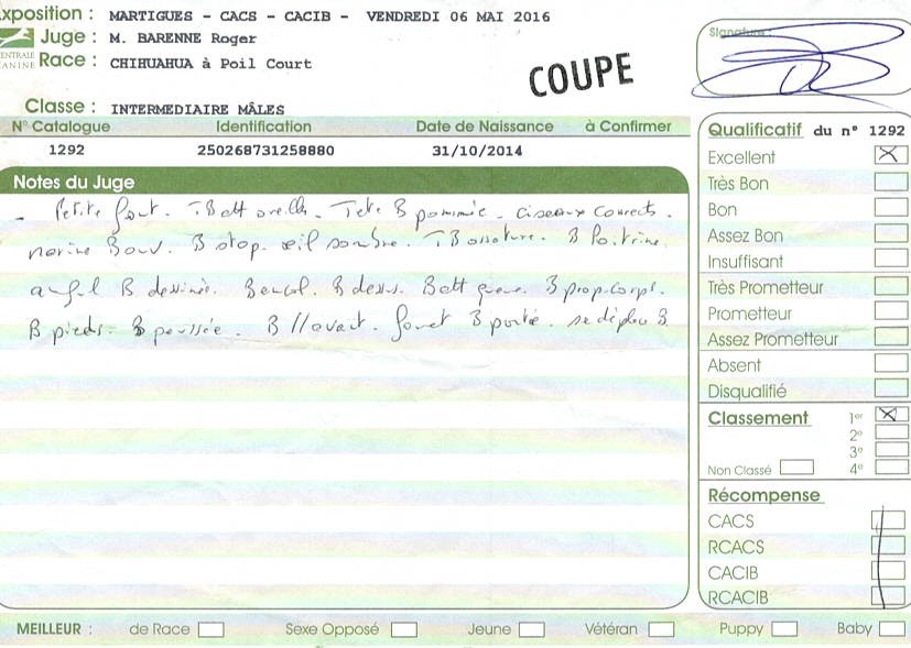 Jealous guy du Royaume d'Isthar - 1er EXCELLENT