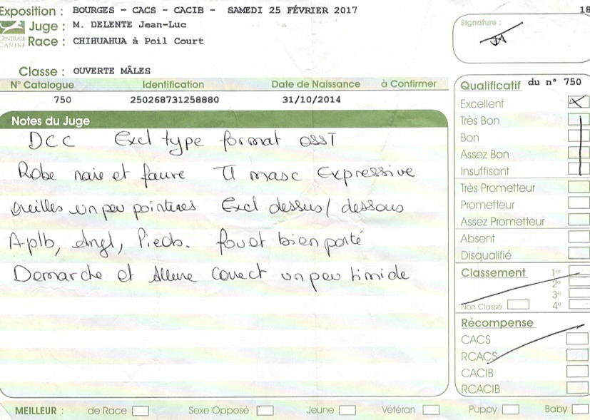 Jealous guy du Royaume d'Isthar - EXCELLENT