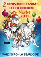 Jet Set's Blue Star Farrow - 1er TRES BON