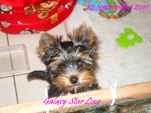 Publication : Du Domaine de Briony Auteur : Finet Magali