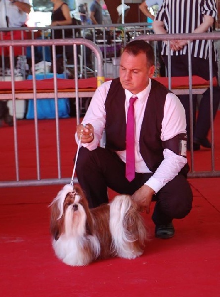 CH. J-lo des pommiers du pays d othe - 4eme excellent classe ouverte