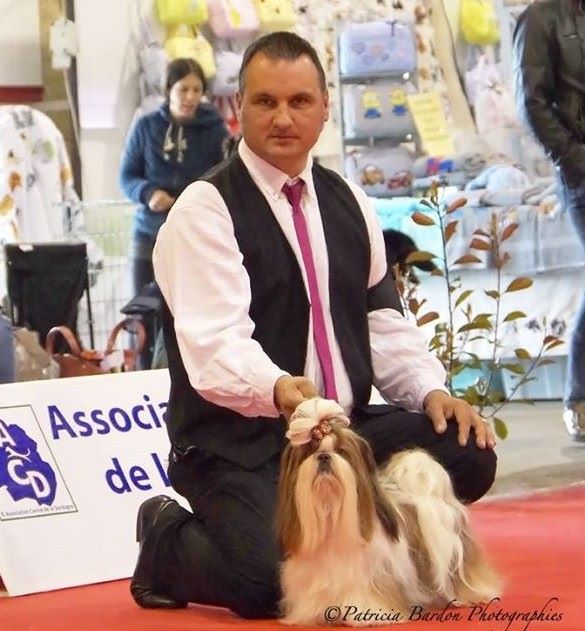 CH. J-lo des pommiers du pays d othe - Rcacs - Rcacib , 2 eme excellent classe ouverte