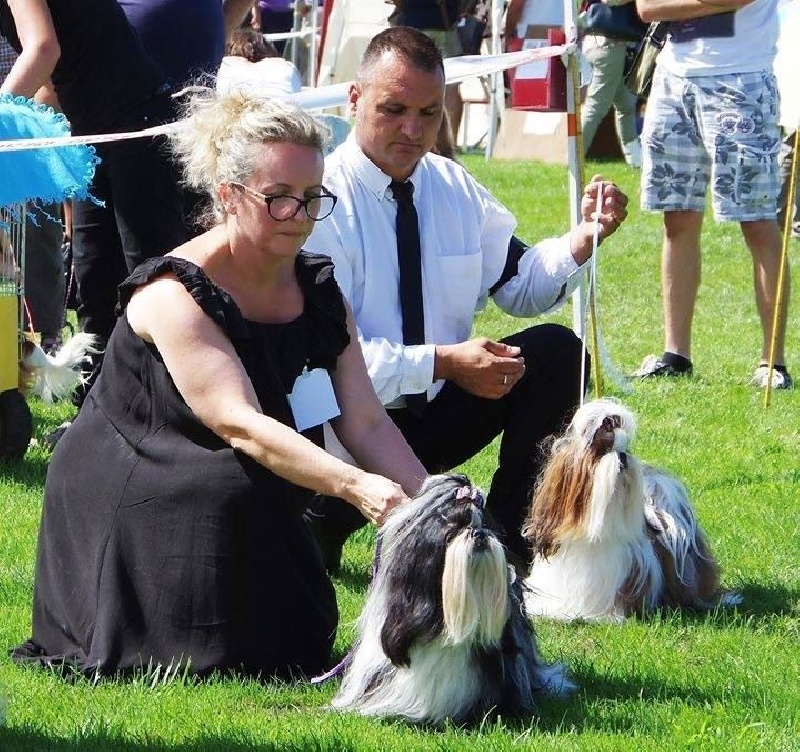 CH. J-lo des pommiers du pays d othe - 3 eme excellent classe ouverte