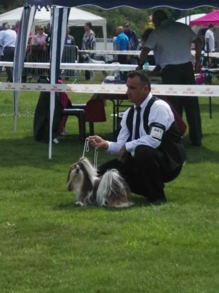 CH. J-lo des pommiers du pays d othe - 1er excellent, cacs, meilleur de race