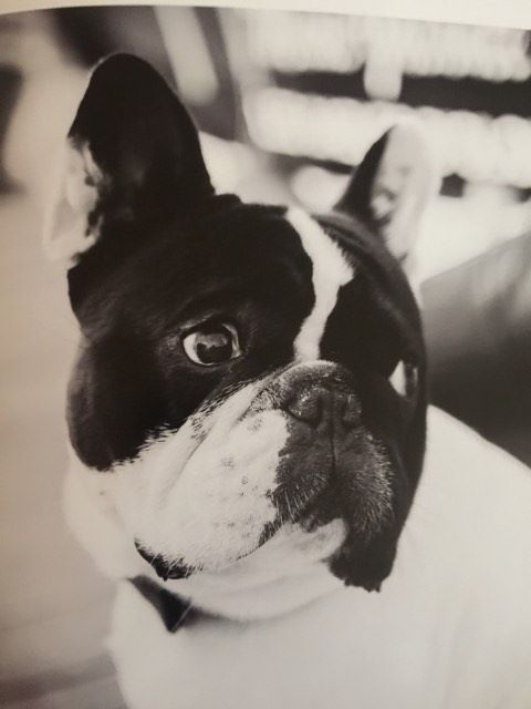 Publication : Von Boule D'esteix Auteur : Von Boule d'Esteix