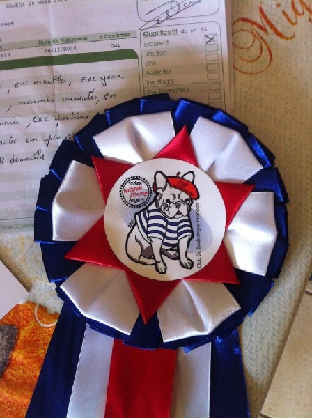 Publication : Von Boule D'esteix Auteur : Von Boule d'Esteix