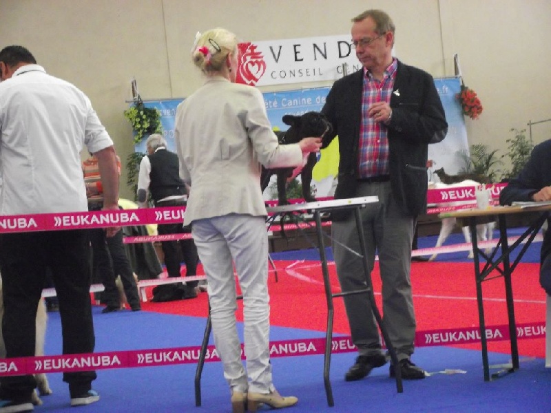 Publication : Von Boule D'esteix Auteur : Von Boule d'Esteix