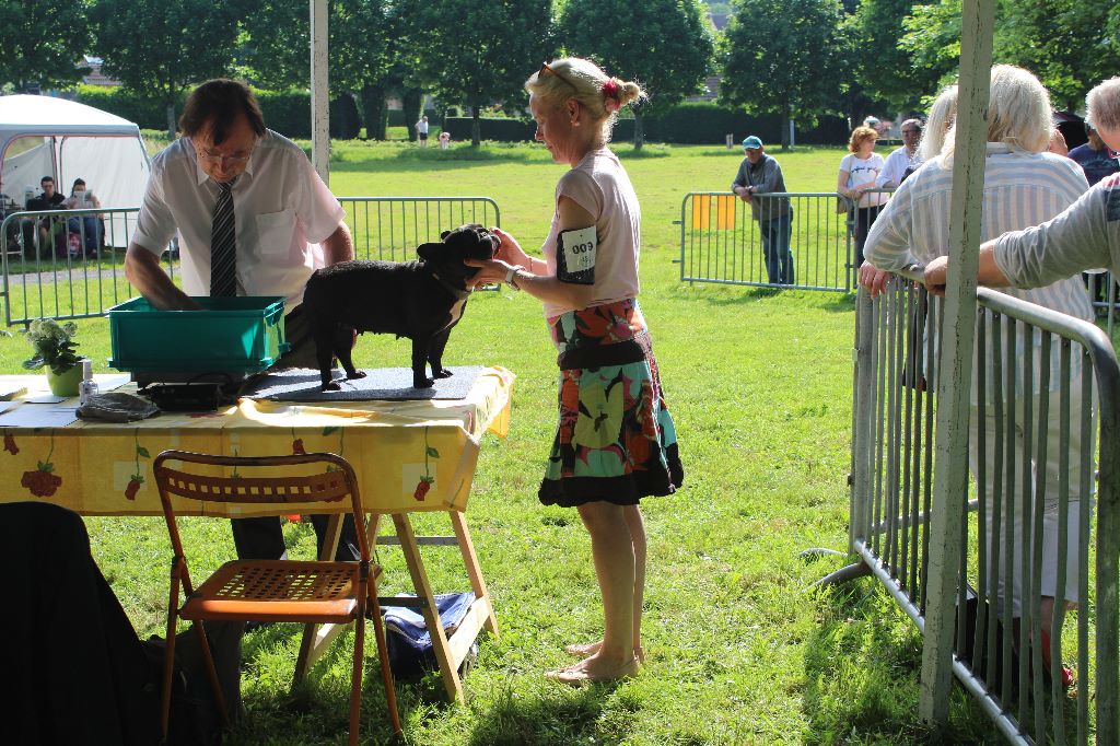 Publication : Von Boule D'esteix Auteur : Von Boule d'Esteix