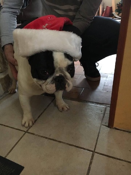 Publication : Von Boule D'esteix Auteur : Von Boule d'Esteix