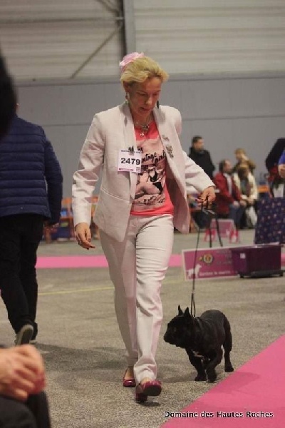 Publication : Von Boule D'esteix Auteur : Von Boule d'Esteix