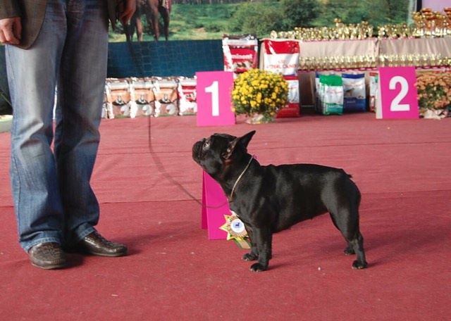 Publication : Von Boule D'esteix Auteur : Von Boule d'Esteix