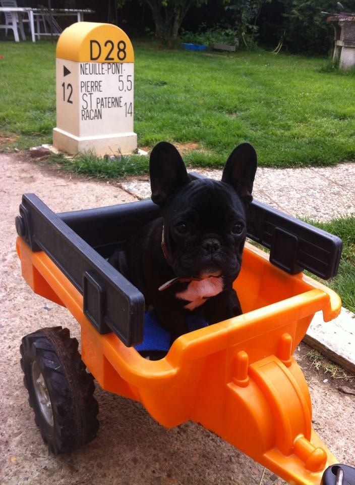 Publication : Von Boule D'esteix Auteur : Von Boule d'Esteix