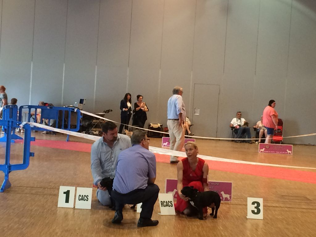 Publication : Von Boule D'esteix Auteur : Von Boule d'Esteix