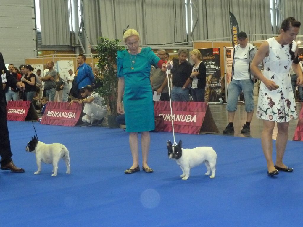 Publication : Von Boule D'esteix Auteur : Von Boule d'Esteix