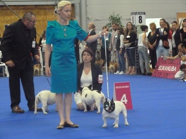 Publication : Von Boule D'esteix Auteur : Von Boule d'Esteix