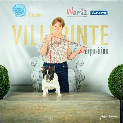 Publication : Von Boule D'esteix Auteur : Von Boule d'Esteix