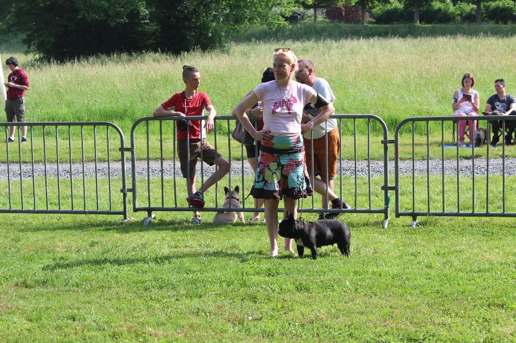 Publication : Von Boule D'esteix Auteur : Von Boule d'Esteix