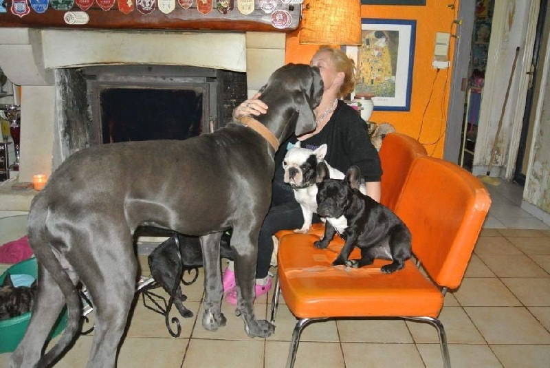 Publication : Von Boule D'esteix Auteur : Von Boule d'Esteix