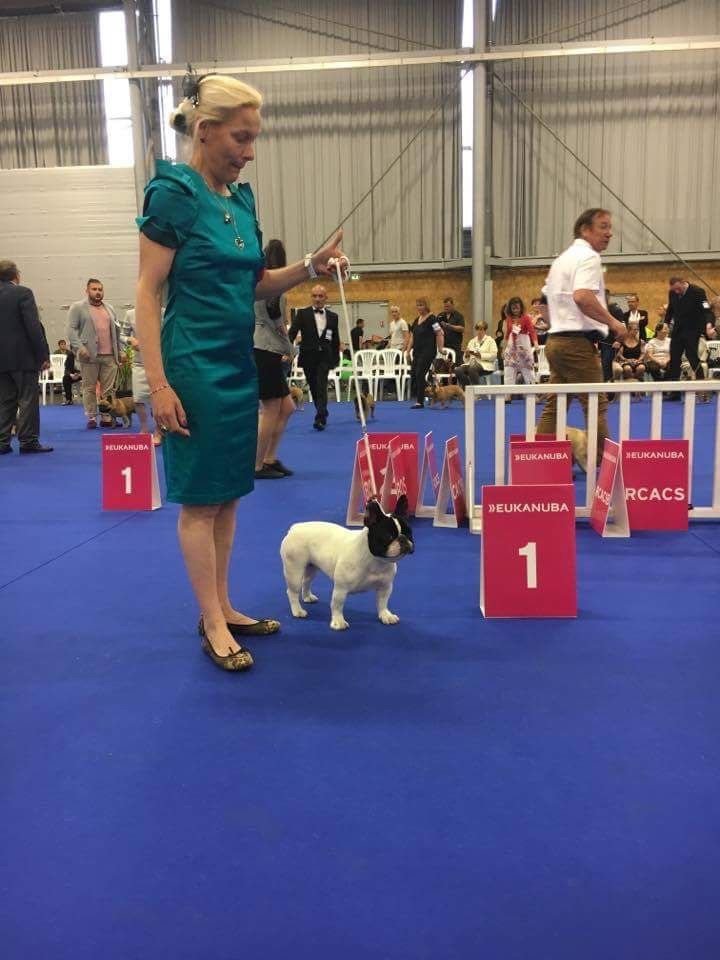 Publication : Von Boule D'esteix Auteur : Von Boule d'Esteix