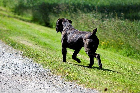 Publication : Des Protecteurs D'eloya