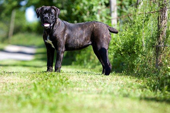 Publication : Des Protecteurs D'eloya