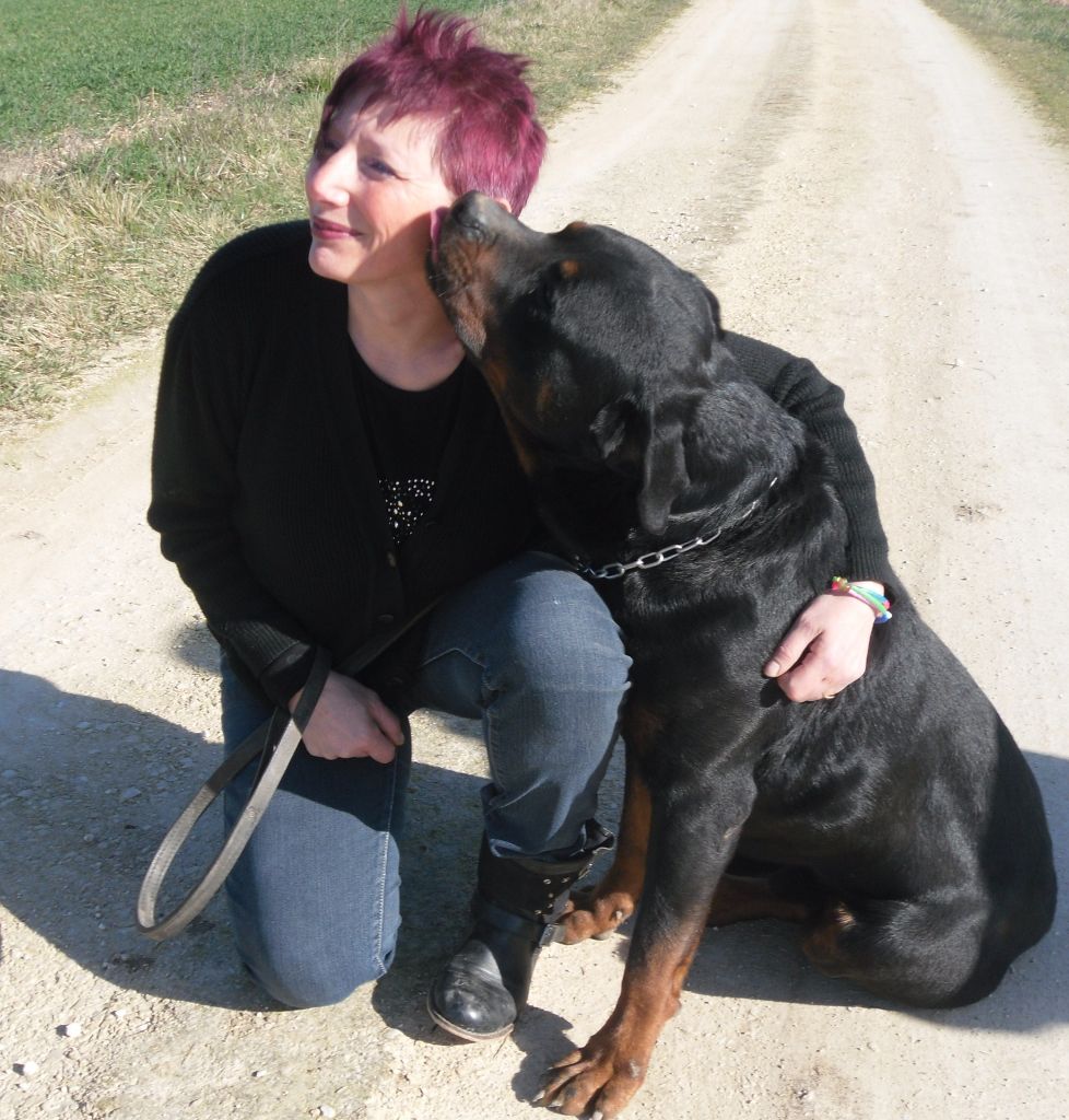 Publication : Des anges noirs et feux Auteur : DAUMENS