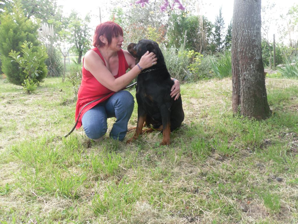 Publication : Des anges noirs et feux Auteur : DAUMENS