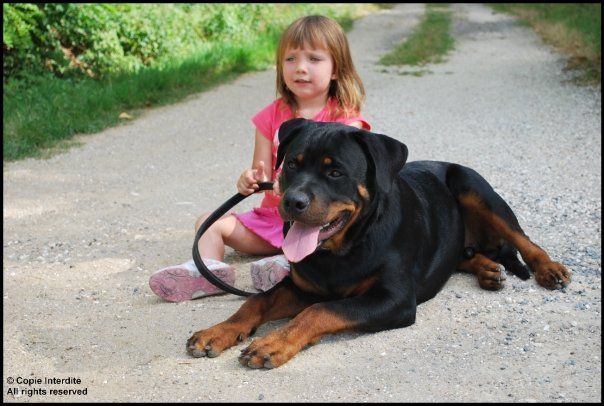 Publication : Des anges noirs et feux Auteur : DAUMENS