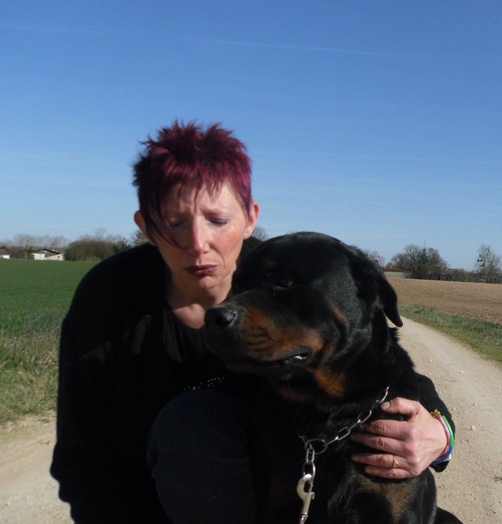 Publication : Des anges noirs et feux Auteur : DAUMENS