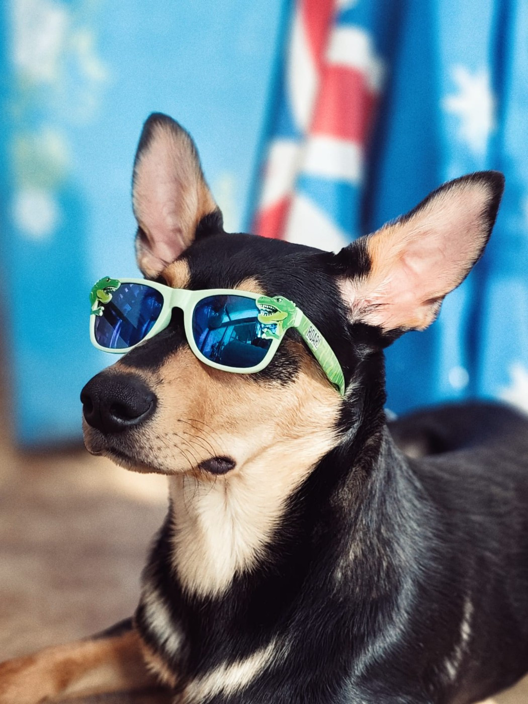 Ringarooma Anakin skywalker