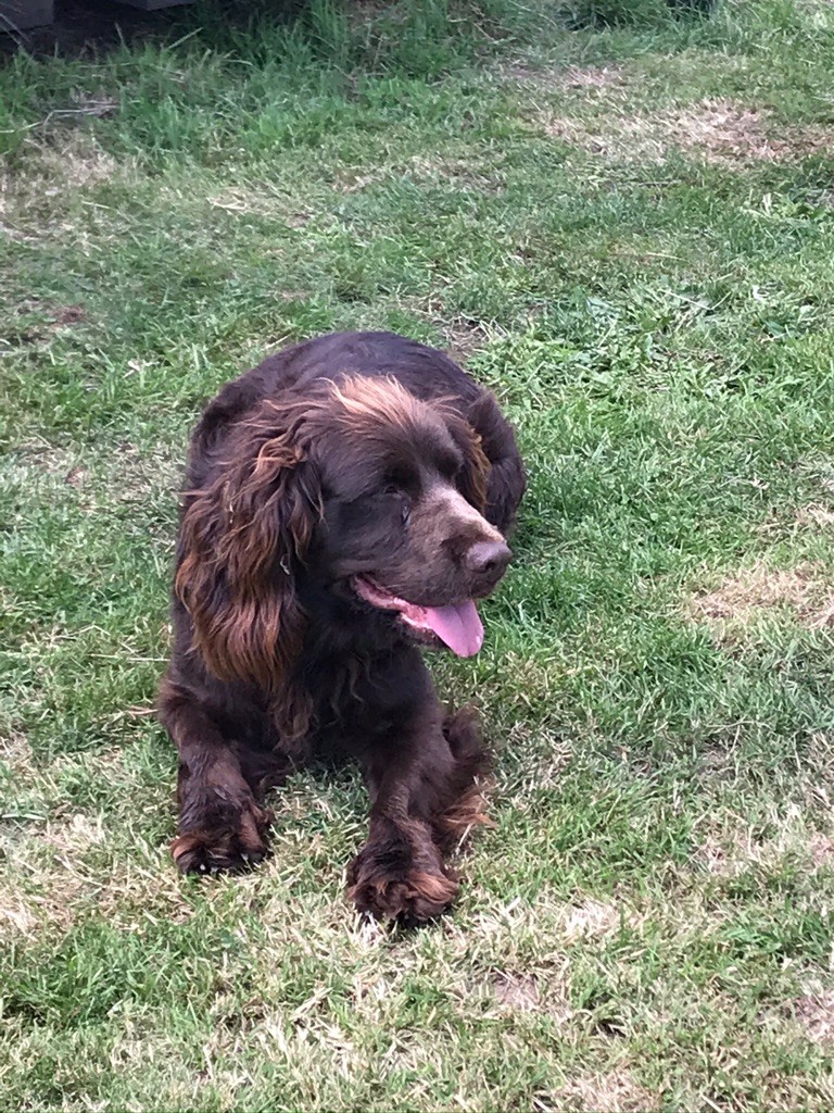 Publication : Du Rond Cailloux