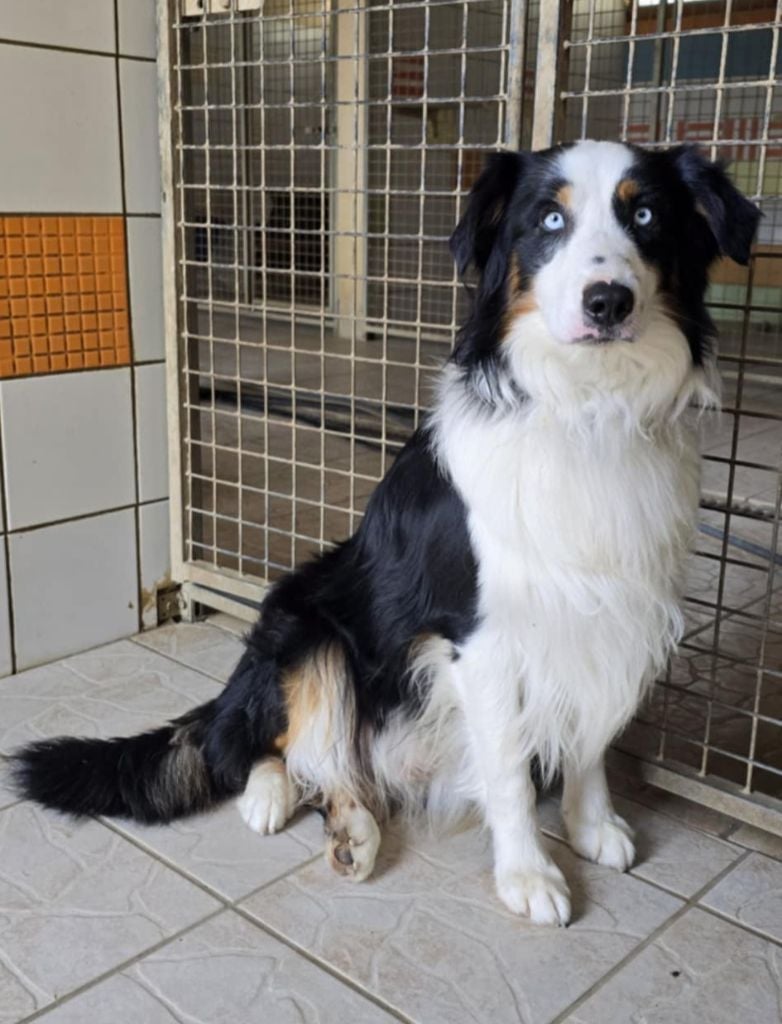 U'he of blue montain valley