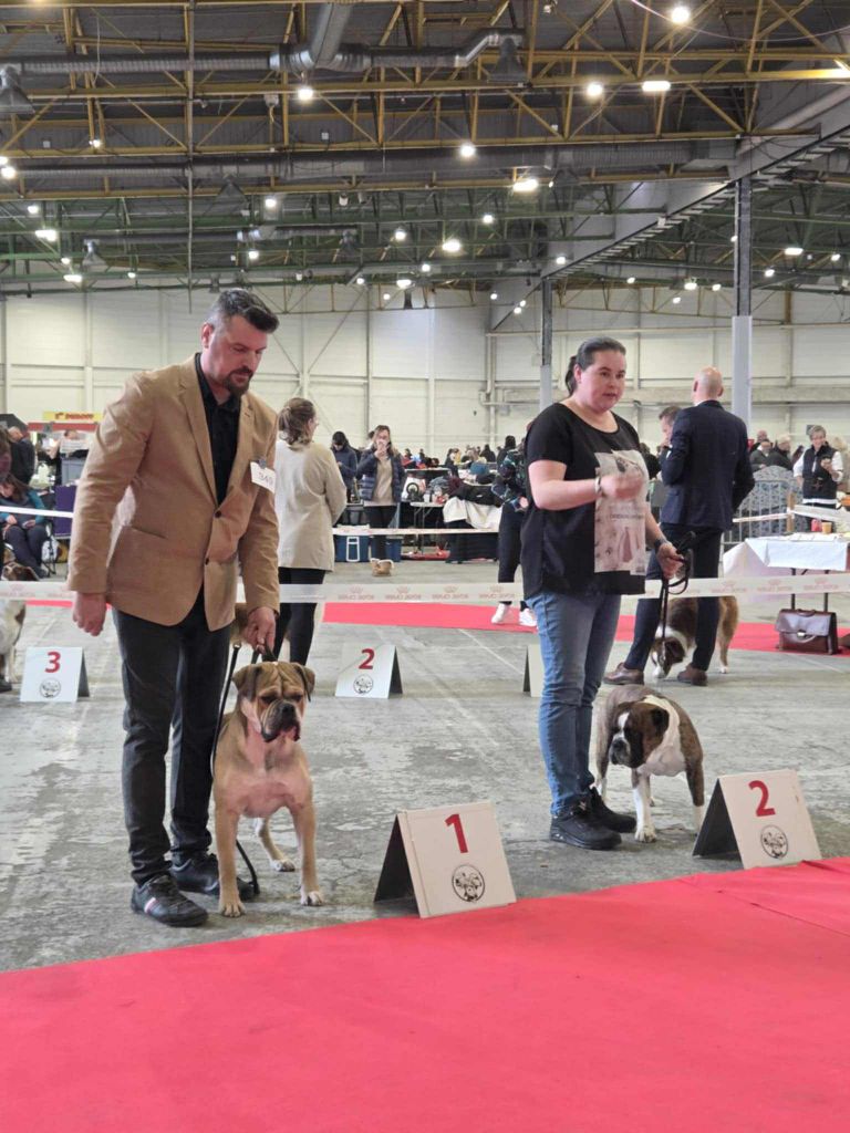 Publication : Des Dieux De L'arène