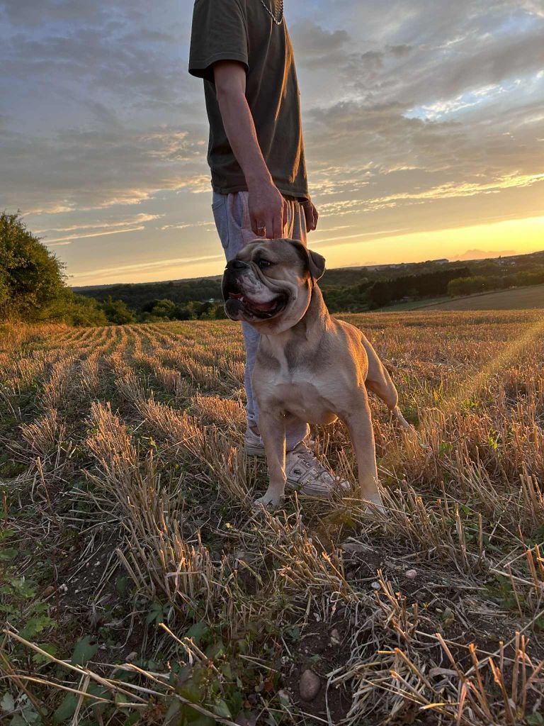 Publication : Des Dieux De L'arène