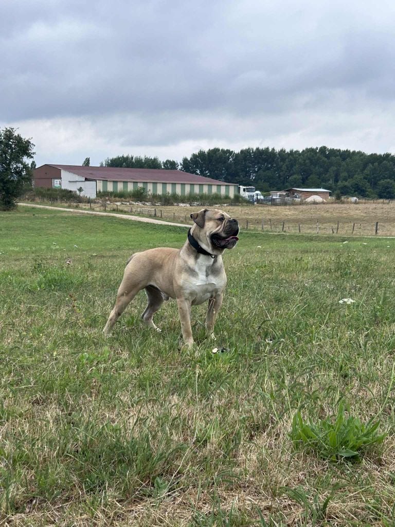 Publication : Des Dieux De L'arène