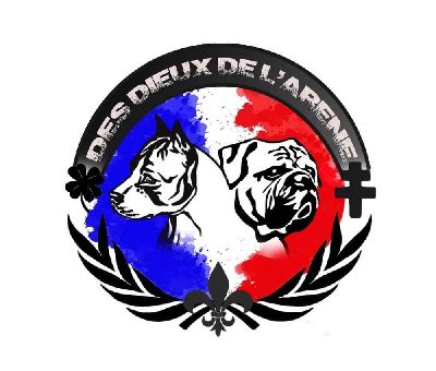 Des Dieux De L'arène