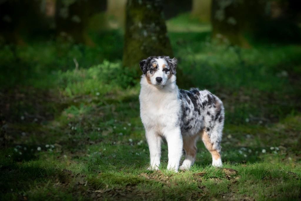 U're the one that i want du Feeling de Nolister