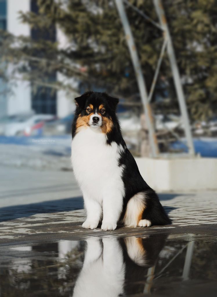 Aria musical play (Sans Affixe)