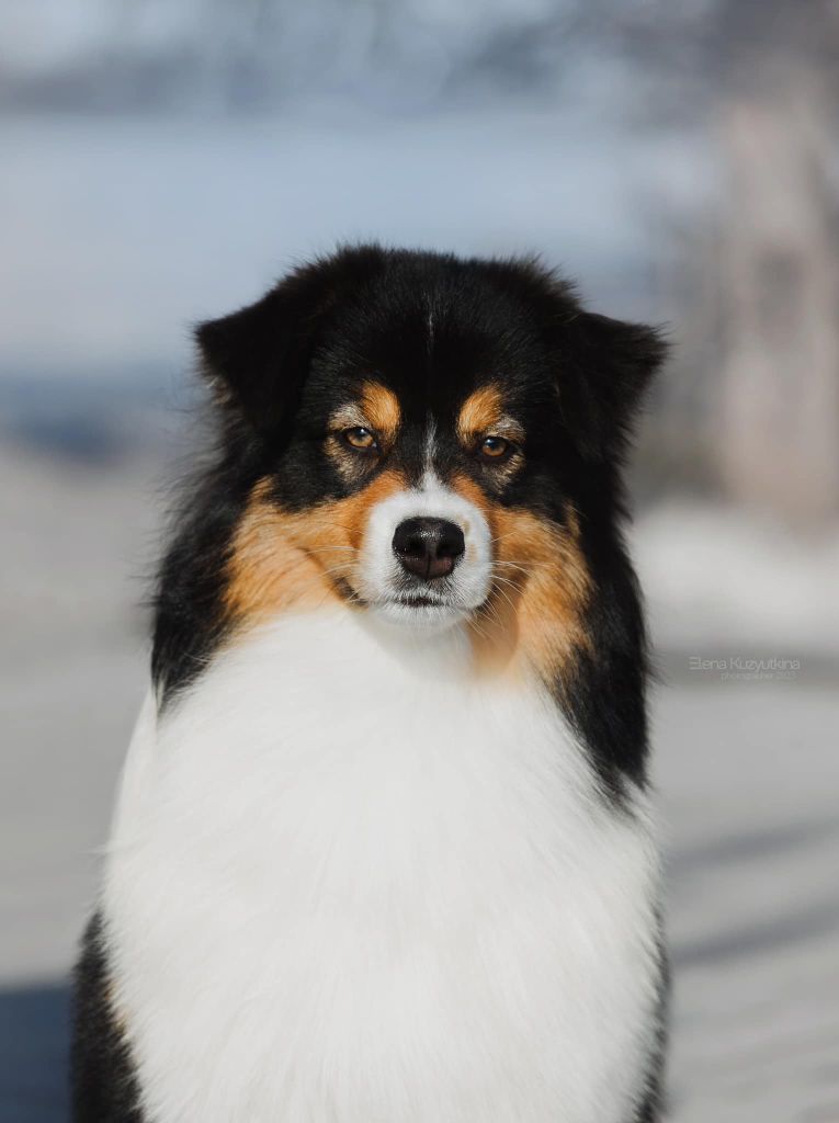 Aria musical play (Sans Affixe)