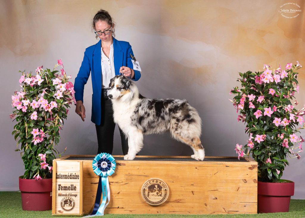 U're the one that i want du Feeling de Nolister