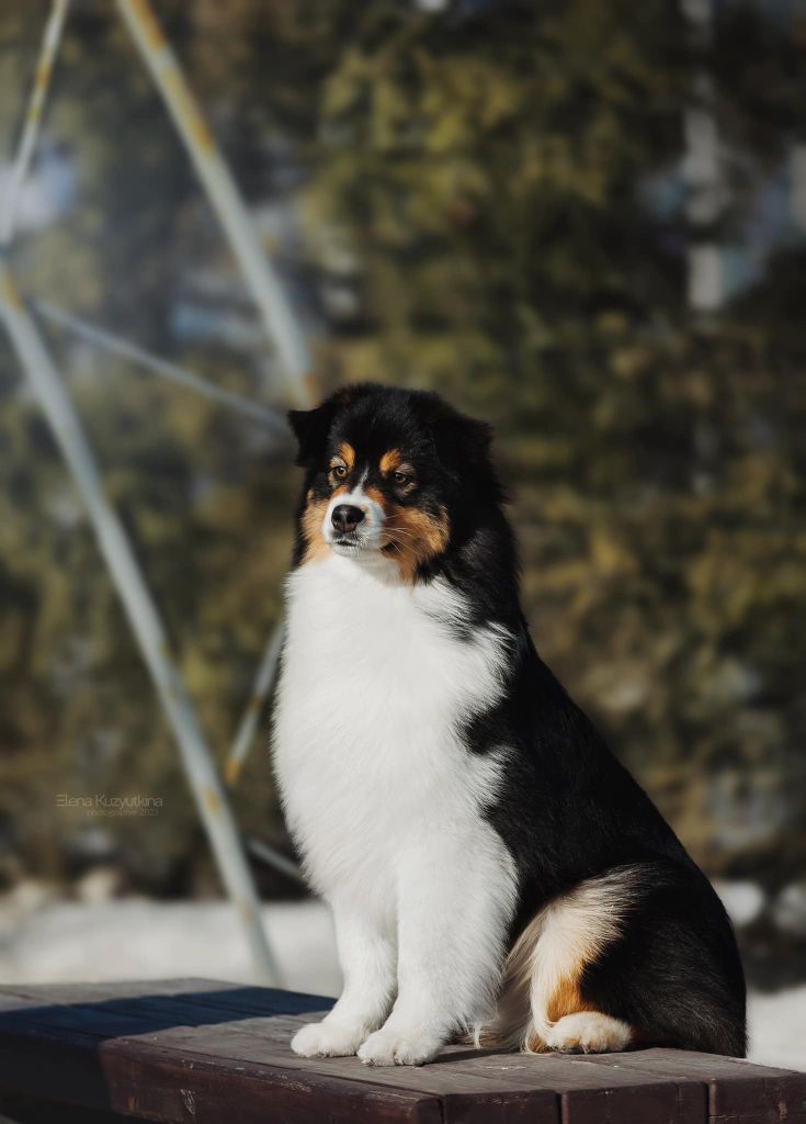 Aria musical play (Sans Affixe)