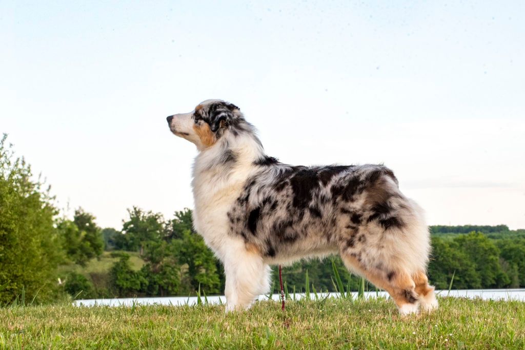 U're the one that i want du Feeling de Nolister