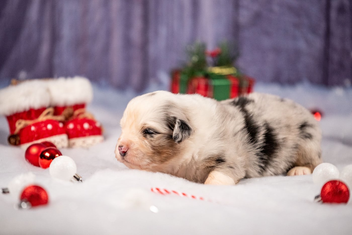 Ancient Egypt Khéops