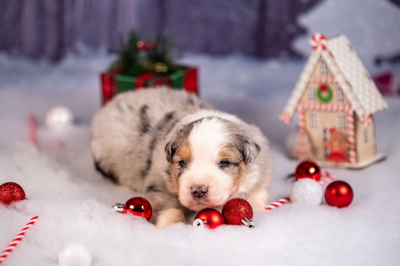 Ancient Egypt Akhenaten