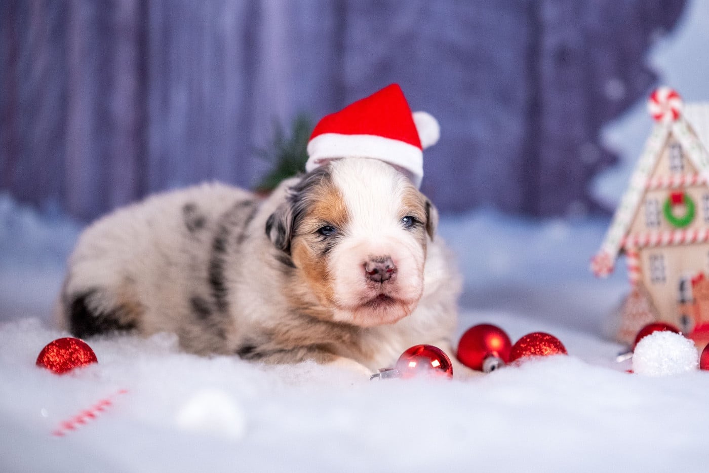 Ancient Egypt Akhenaten