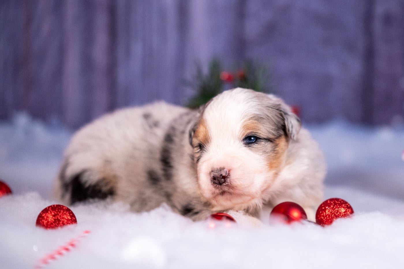 Ancient Egypt Akhenaten