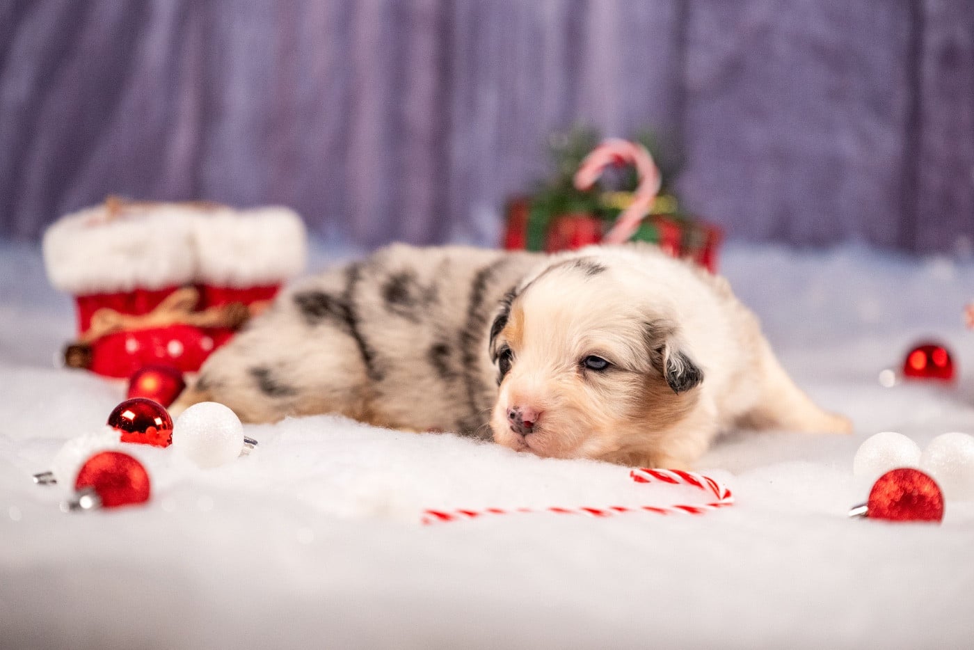 Ancient Egypt Cleopatra