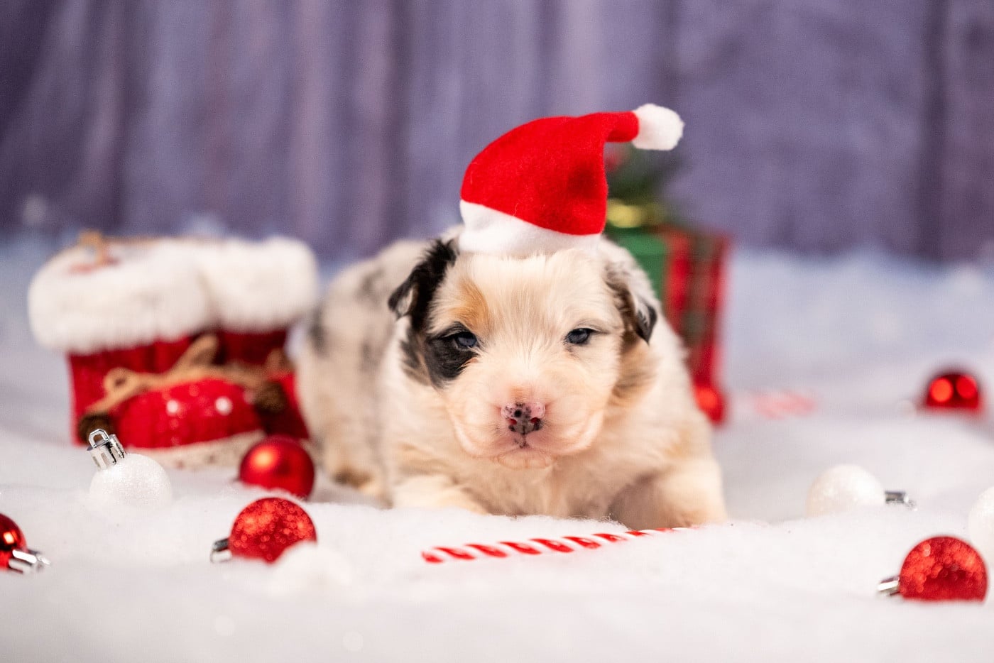 Ancient Egypt Cleopatra